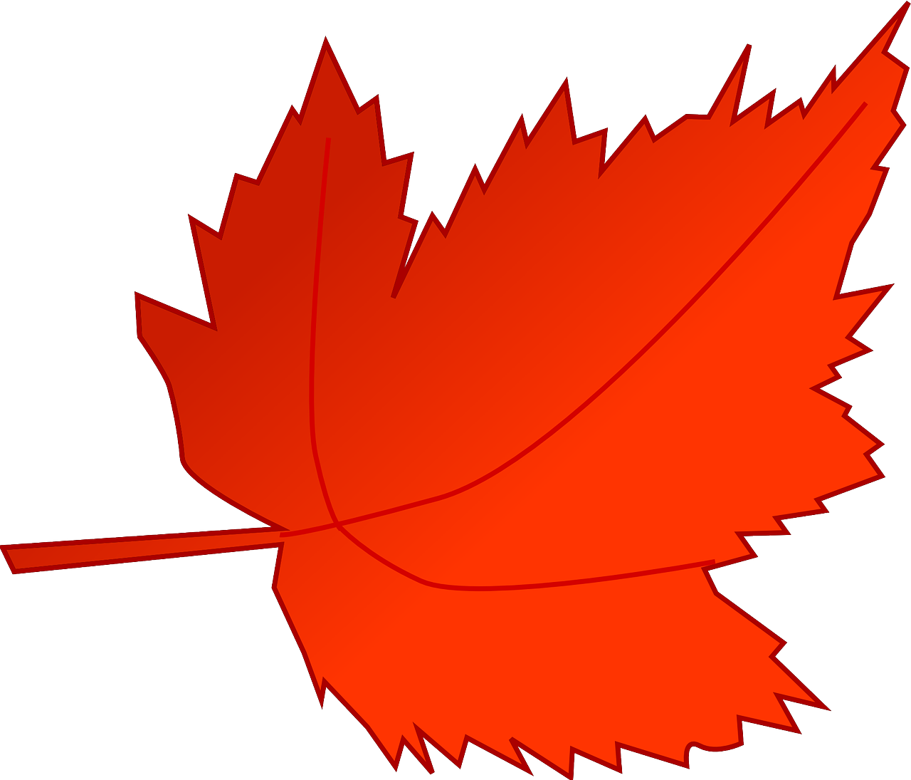 Maple Autumn Fall Leaf Red