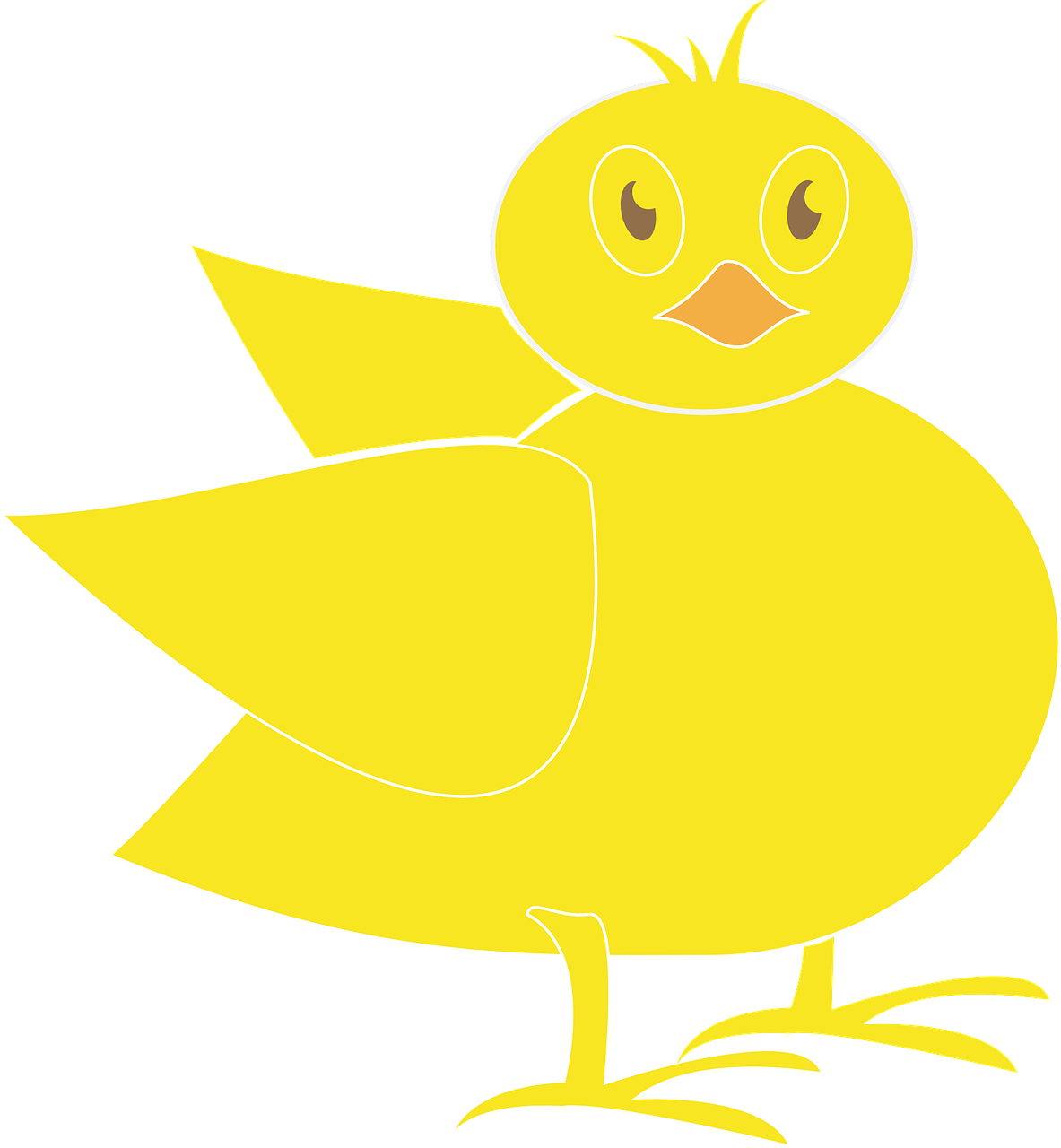 Chick Baby Bird Yellow Farm