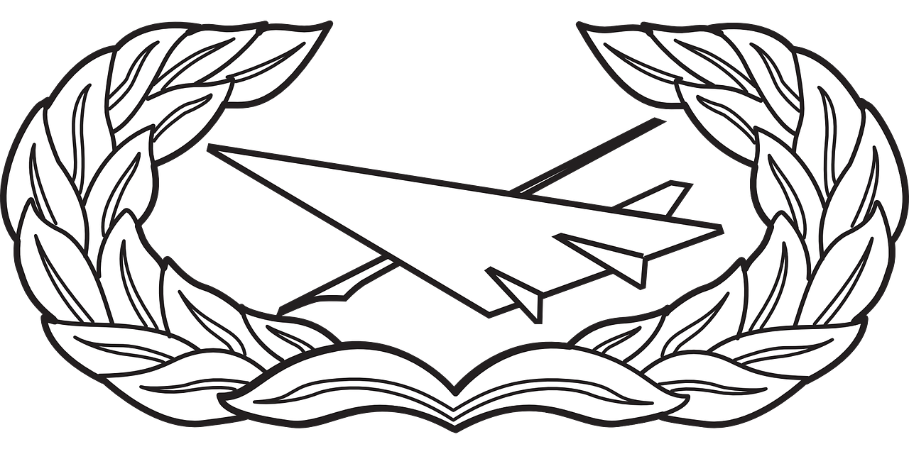 Usaf Air Force Badge Sign