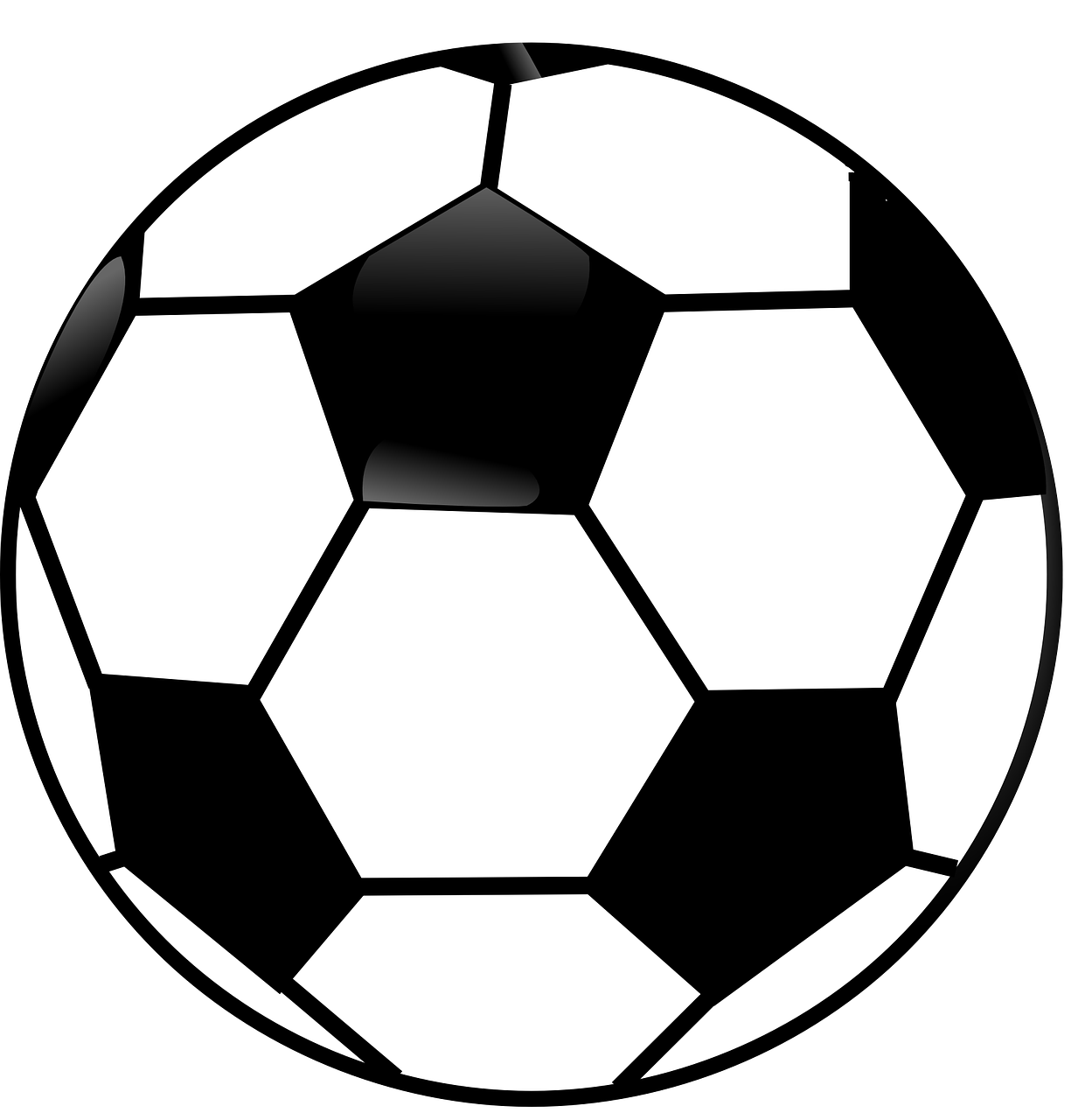 All 99+ Images why soccer ball is black and white Excellent