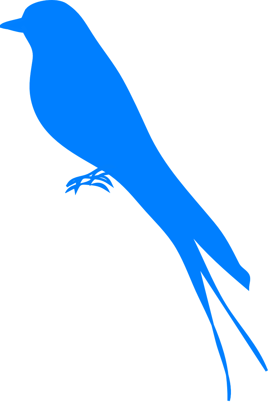 Martin Bird Swallow Bluebird Png Picpng