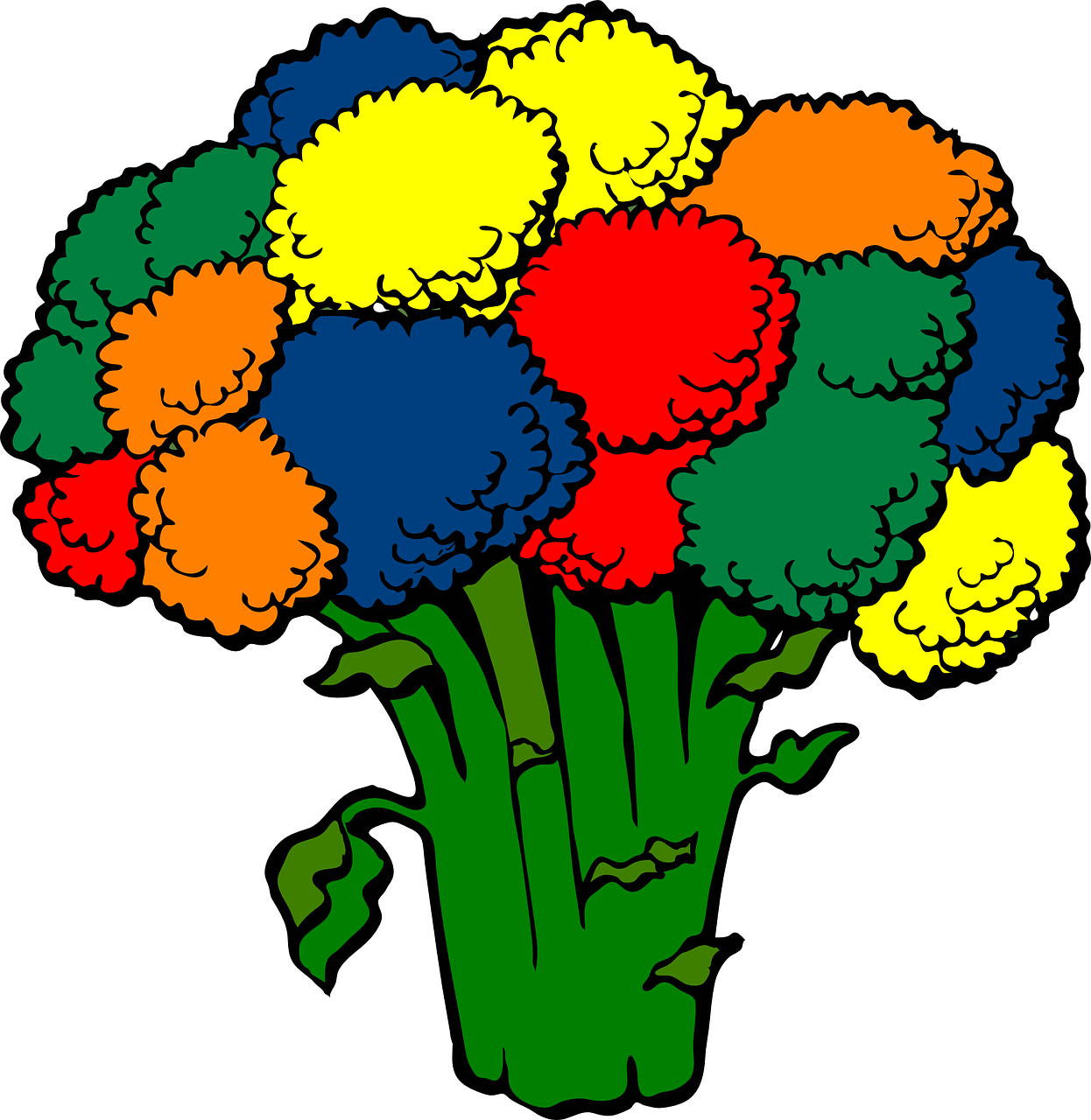 Broccoli Colors Vegetable Food
