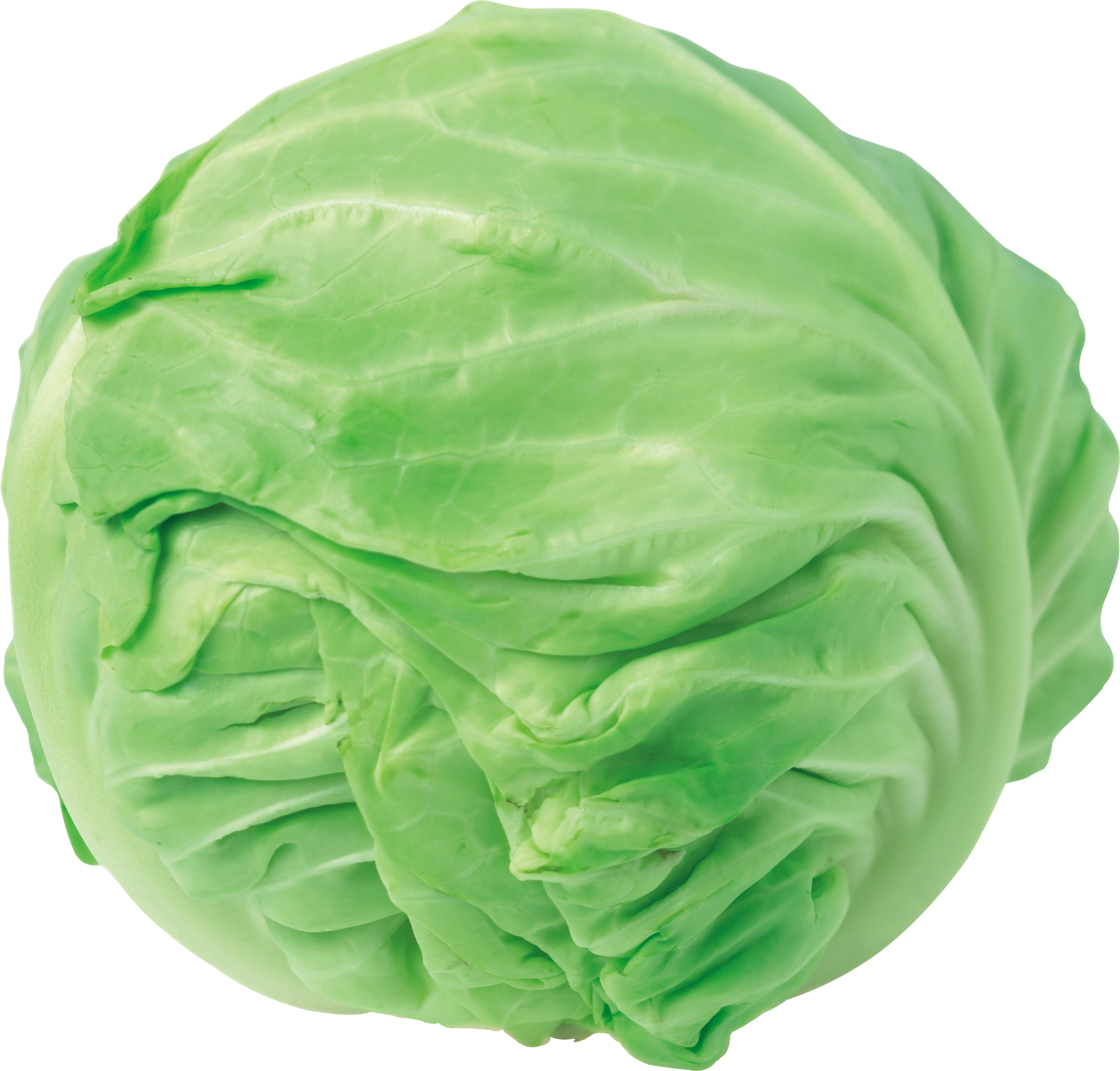 Figure Cabbage