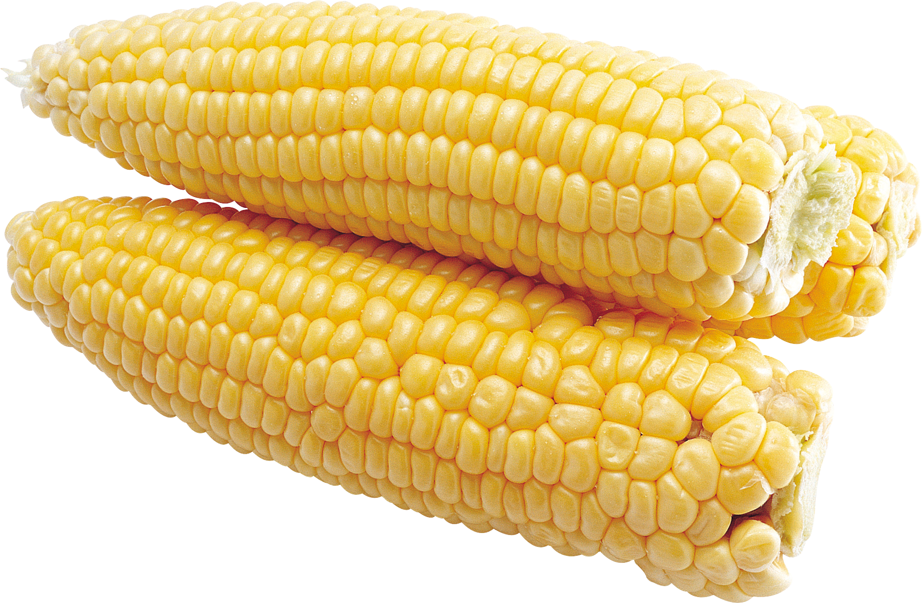 Corn Clipart Png Picpng