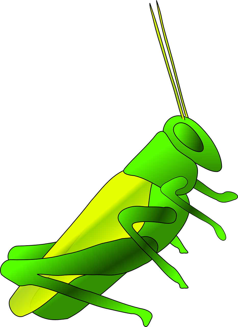 Cricket Long Green Blue PNG | Picpng.