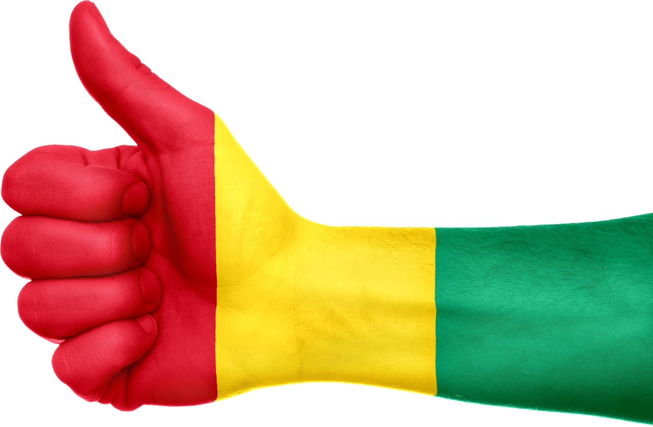 Guinea Flag Hand National