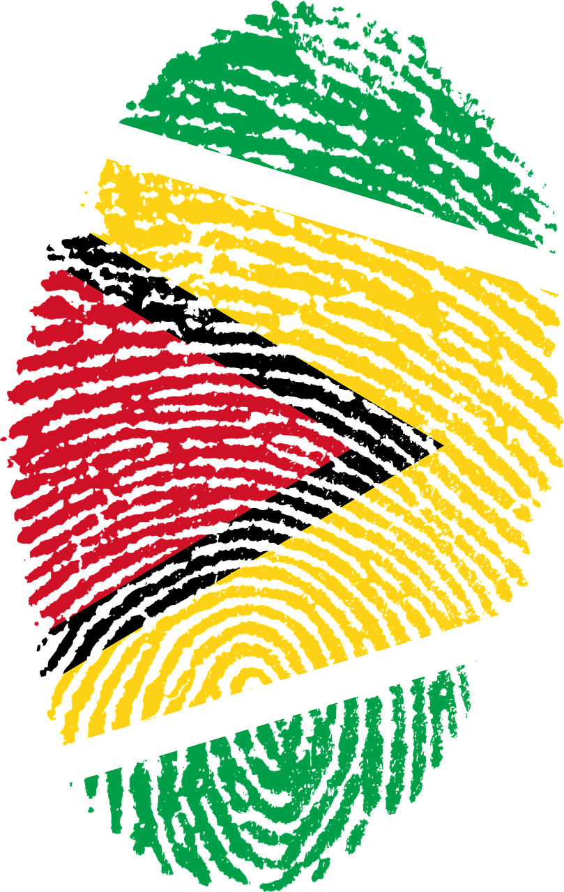 Guyana Flag Fingerprint Country