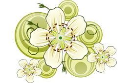 flowers PNG Images & Logos - Free Transparent flowers PNG Logos | Picpng