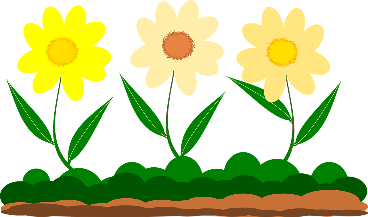 Yellow Flower Vector Image Garden