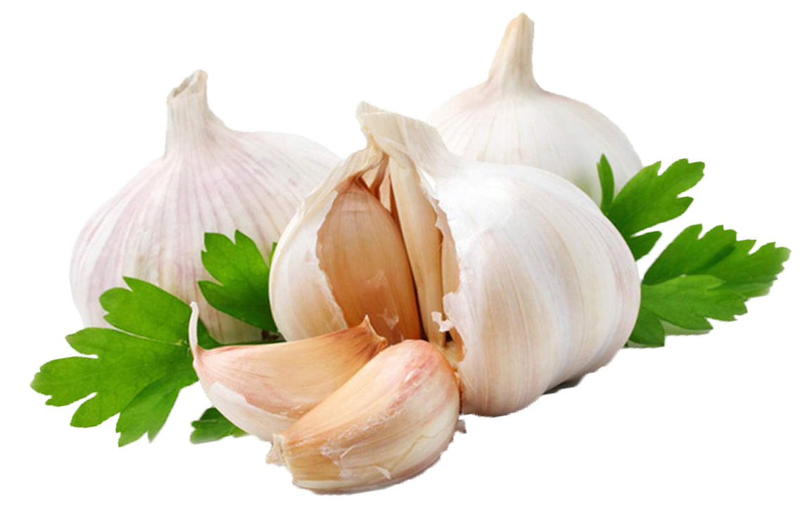 Download Garlic PNG | Picpng