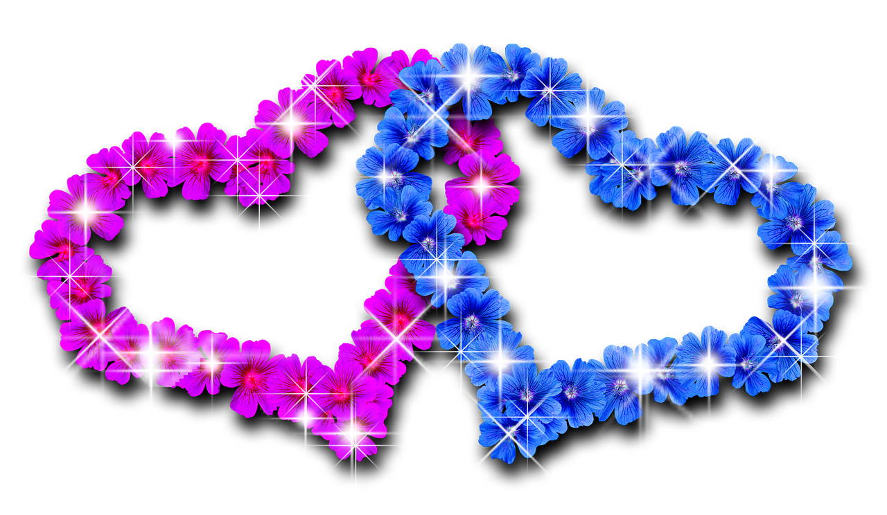 Heart Flowers Love Pink Blue PNG | Picpng
