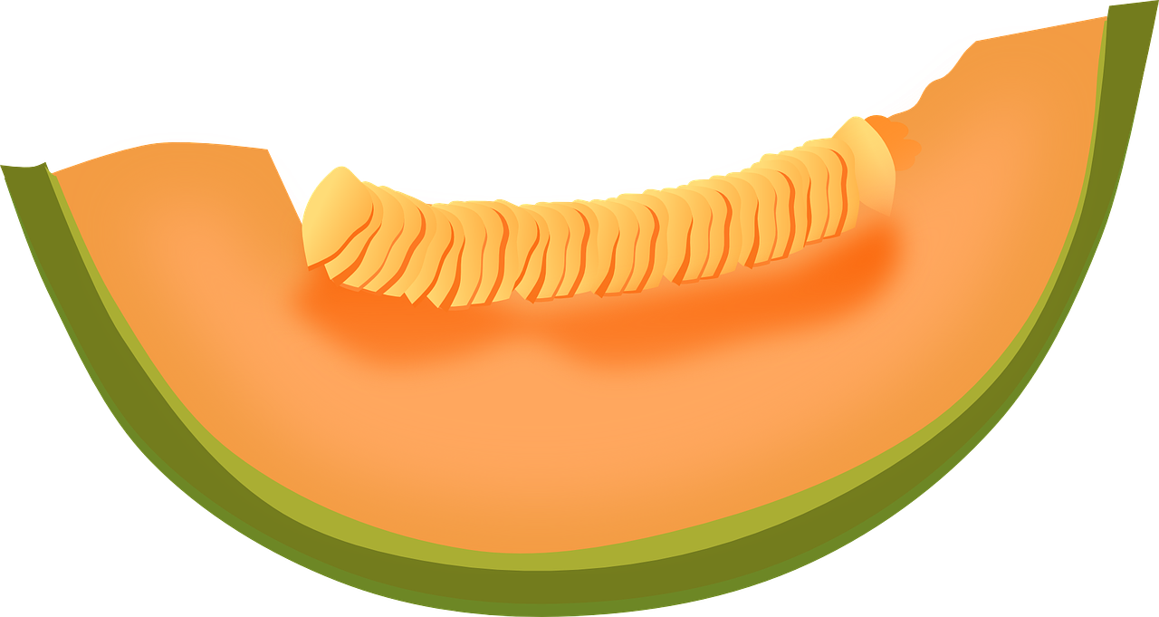 Cantaloupe Melon Fruit Food
