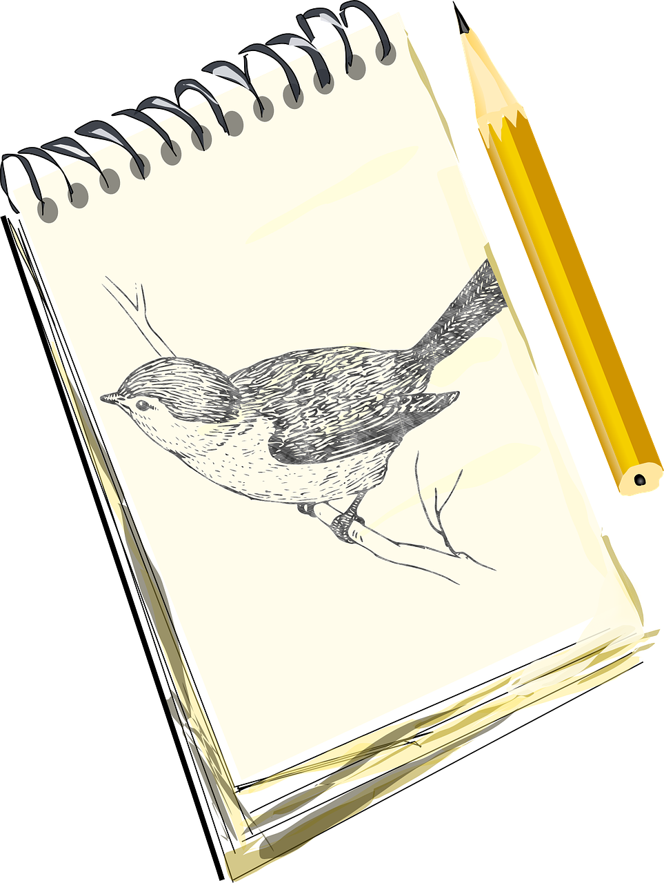 Pencil Sketch Bird Pad Draw Png Picpng