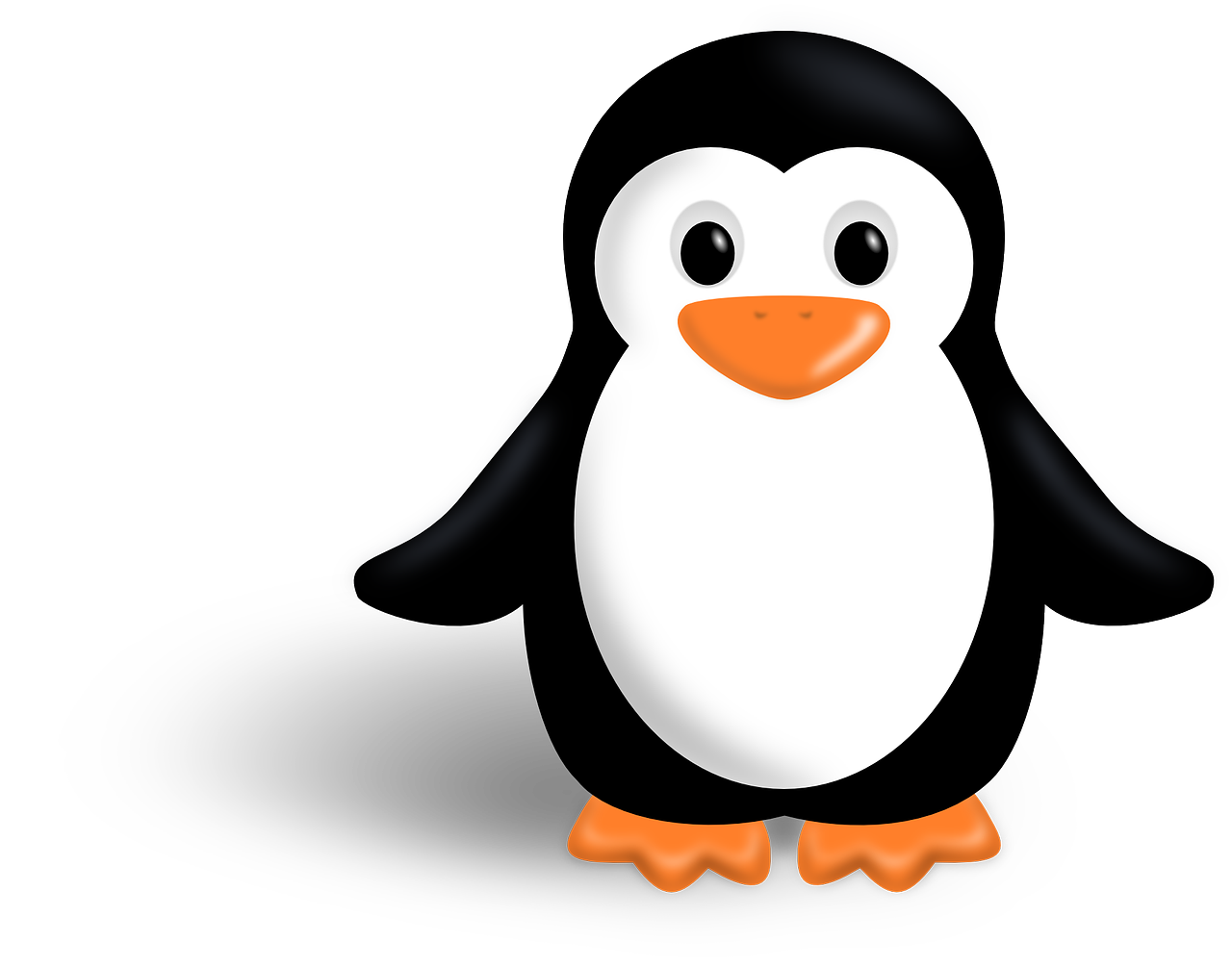 Penguin Tux Linux Animal Bird Png Picpng