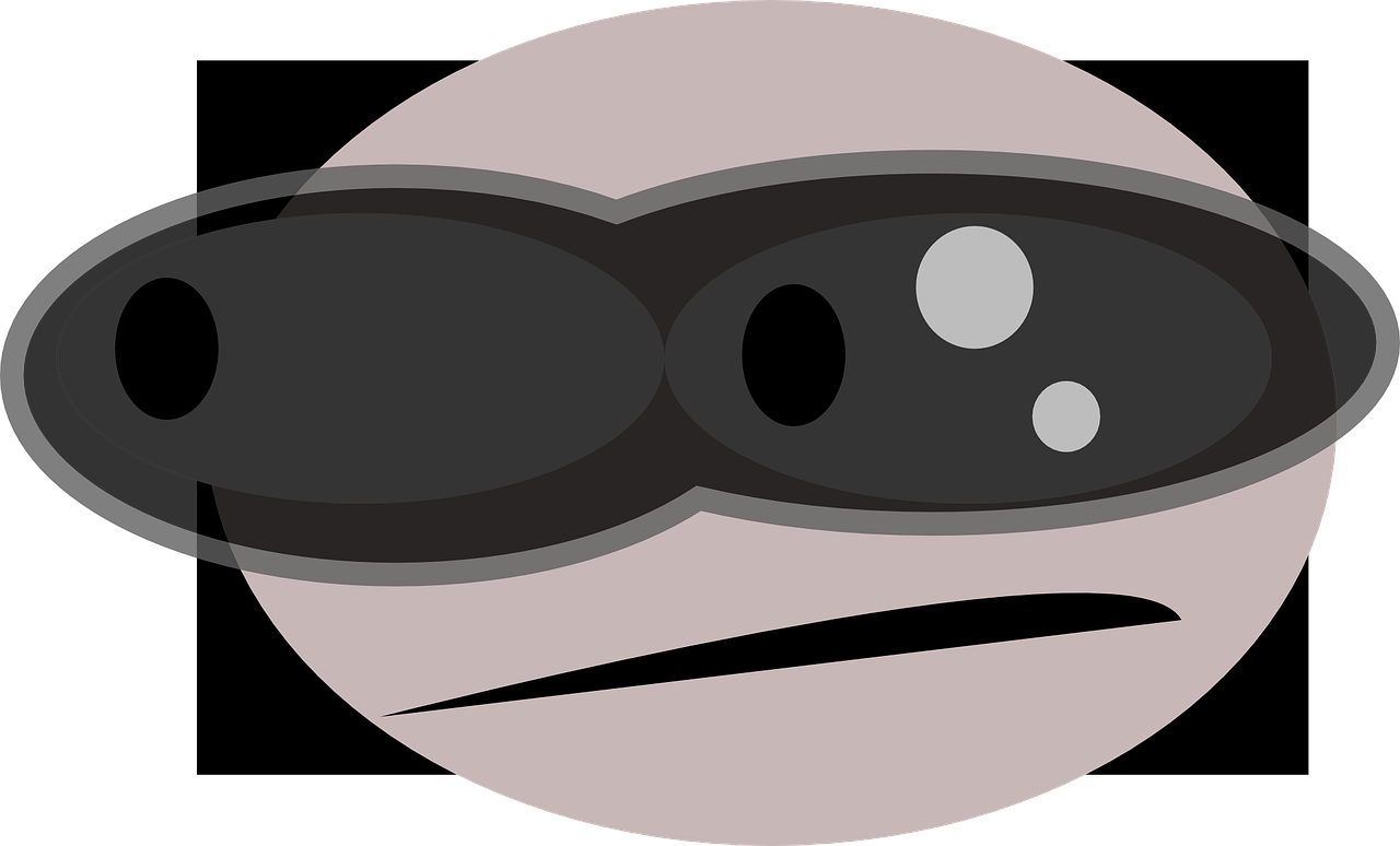 Proxy Smiley Face Goggles
