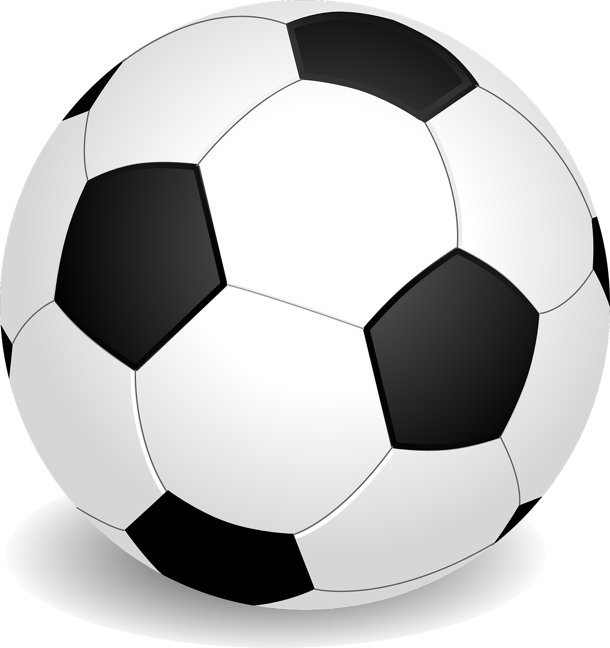 Soccer Ball Sport Game Team