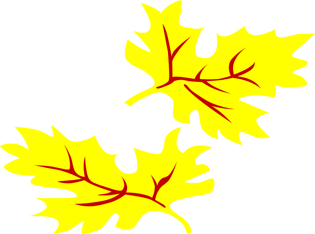 Leaves Yellow Fall Season