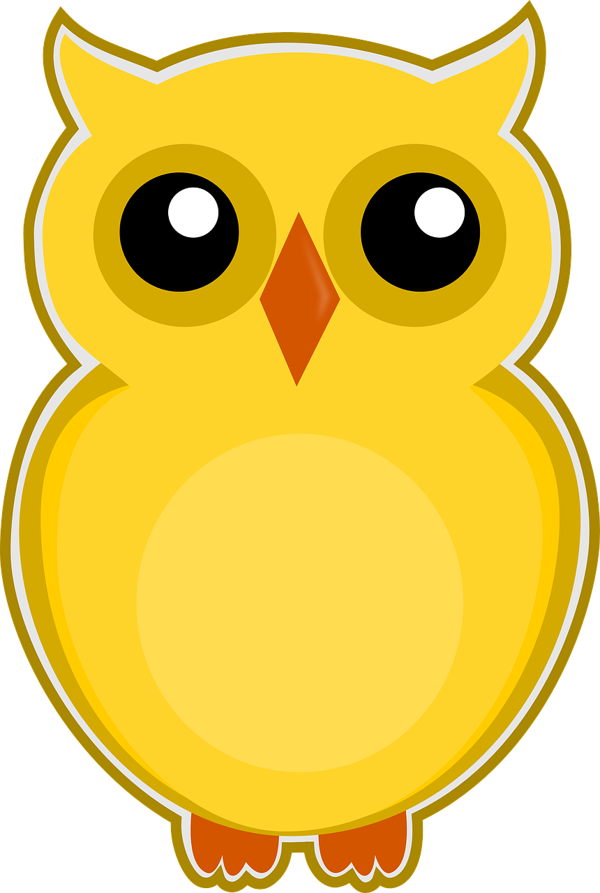 Owl Yellow Bird Cute Animal