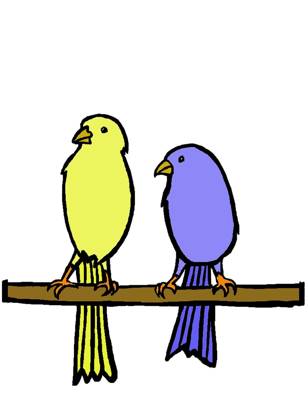 Yellow Blue Bird Birds Cute